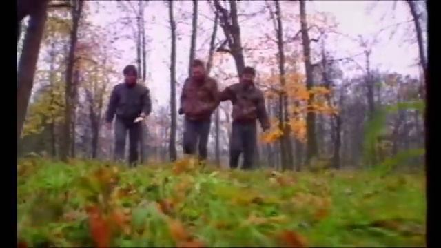 ДДТ   Что такое осень