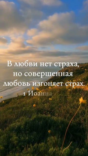Мудрость Библии за 15 секунд. Настоящая любовь не оставляет места страху.