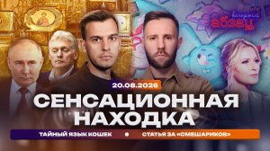 Сенсационная находка. Статья за «Смешариков». Тайный язык кошек