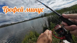 ТРОФЕЙ МИНУС. РЫБАЛКА В ЛЕТНЮЮ ЖАРУ. СЕЗОН 2026