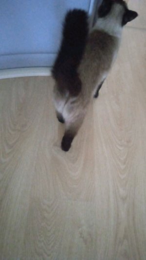 смотрю свои видео на планшете