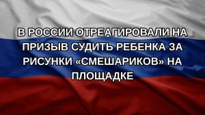 В России отреагировали на призыв судить ребенка за рисунки «Смешариков» на площадке