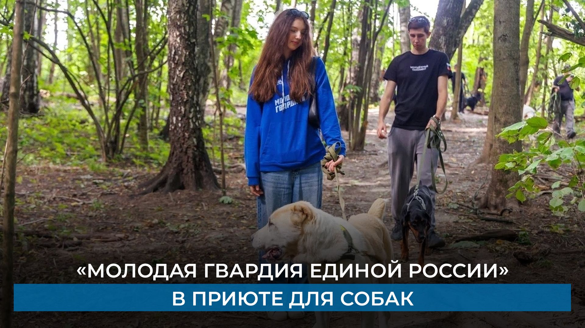 Молодая гвардия Единой России в приюте для собак