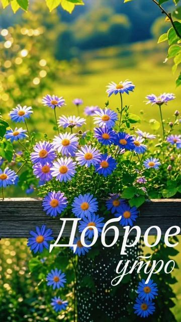 доброе утро 🥰