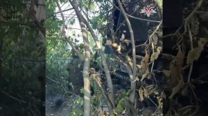 Боевая работа расчета «Мсты-С» ГрВ «Центр»
