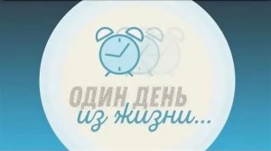 1 день из нашей жизни
