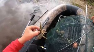 Я В ШОКЕ!!! ТАКИХ Я НЕ ТО ЧТО НЕ ЛОВИЛ И НЕ ВИДЕЛ НИКОГДА