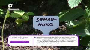 Прямая речь / Об основах биологии / 20.08.26
