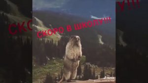 ааааааааааа́