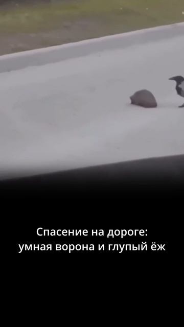Происшествие на дороге