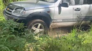 Нива бездорожье 4*4 не пользовался раздаткой спокойно ехал автомобиль полный привод