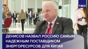 Денисов назвал Россию самым надежным поставщиком энергоресурсов для Китая