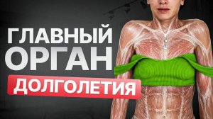 Забудьте про массаж! Сбросьте НАПРЯЖЕНИЕ накопленное годами за 13 минут этой практики