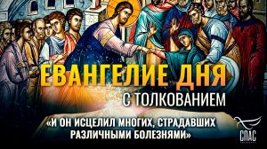 «И Он исцелил многих, страдавших различными болезнями» / Евангелие дня