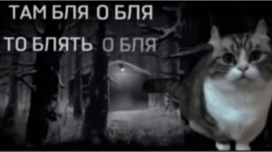 наплыв хейта буквально: