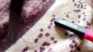 1000000099.mp4