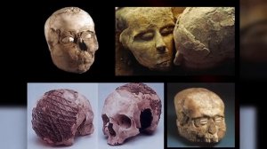 Жестокая Доисторическая Война, Уничтожившая 95% Всех Мужчин - ВымершийЗоопарк (720p)