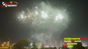 TKB922 Веер королевы 100*0,8 (веер)