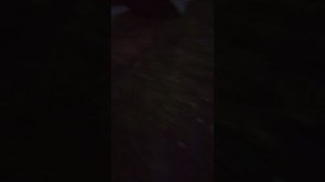 прятки на улице