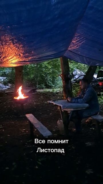 Все помнит листопад... 🍂