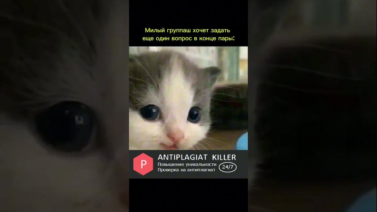 А ну цыц!  #юмор #универ #одногруппники #учеба