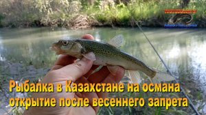 Открытие сезона на османа в Талдыкоргане 09.06.26