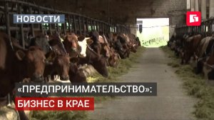 Новые меры поддержки бизнеса обсудили в Хабаровске. 20/08/2026