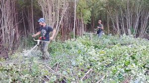 Работа кусторезом STIHL