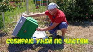 Собираем улей по частям