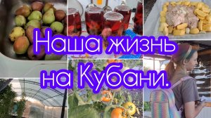 20-08-2026/ Заготовки/ Убрали огурцы/ Курочка с картошкой в духовке/ Дочку покрасили🫣/ Жизнь на юге