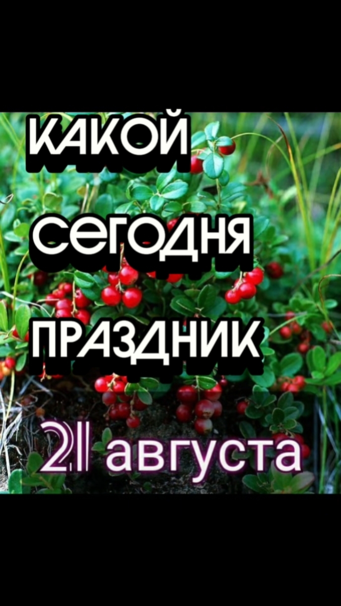Какой сегодня 21 августа праздник 🎂