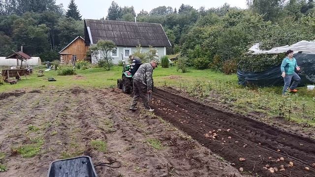 Копаем картошку минитрактором