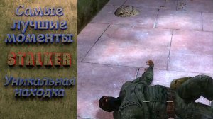 Уникальная находка. Stalker. Самые лучшие моменты. #stalker