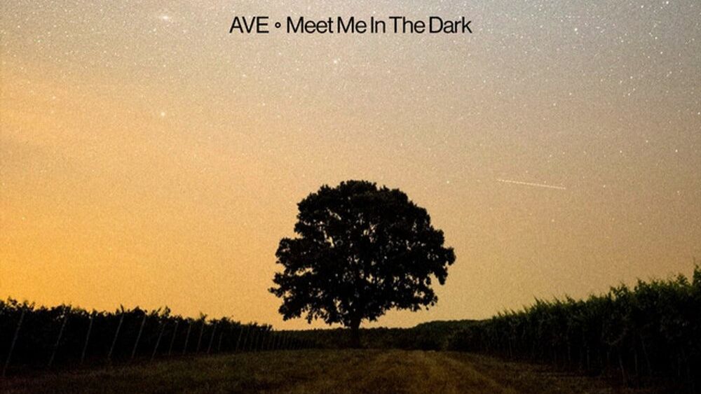 AVE - Meet Me In The Dark (Lyrics)
