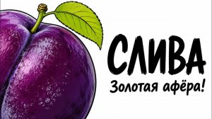 СЛИВА — смертельный яд и аферы на миллионы 💀💰