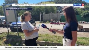 Как крымчане переносят временные трудности с электроснабжением?
