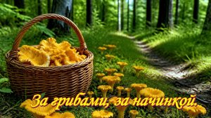 Грибы. В лес за начинкой к пирогам