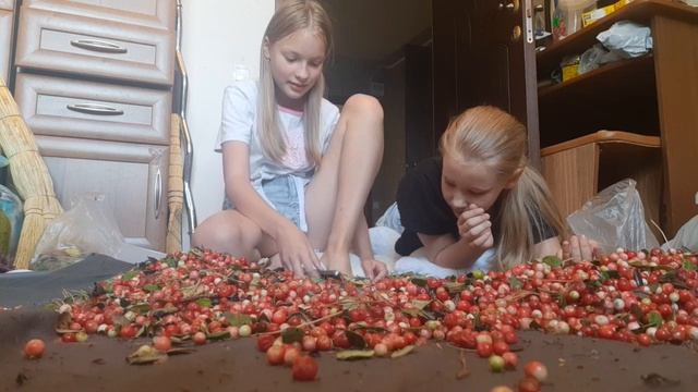 Я помогаю своей подруге вторая часть