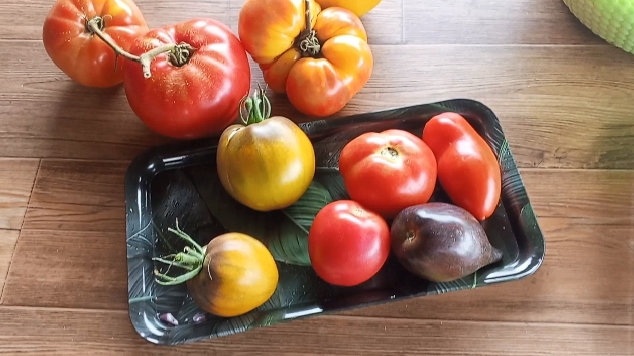 20-08-2026 Снова ДЕГУСТАЦИЯ томатов..Самые вкусные и Любимые..не все😅
