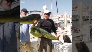 И рядом с водой не щелкай клювом
