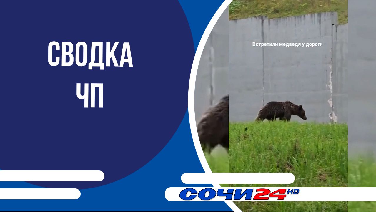 Сводка ЧП