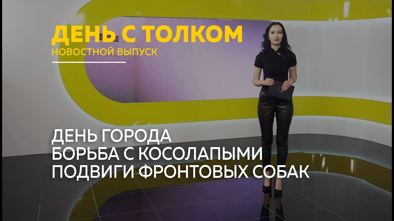 День с Толком 20.08.2026