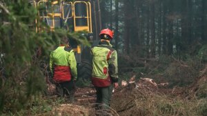 Пожары в Европе не стихают: Россия направила Ил-76 для спасения Сербии