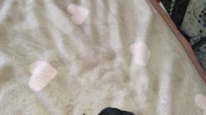 сафия 🥰😁🧃