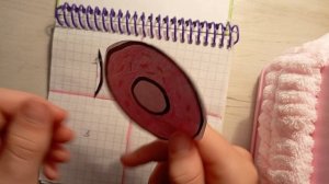 Новинка