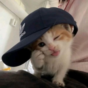 еу