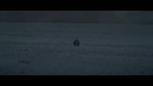 Evil Dead Burn 28+