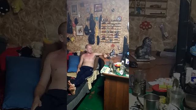 Вечерний стрим