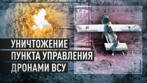 Лесополоса как укрытие не спасла: «Молния-2» поразила пункт управления БПЛА ВСУ