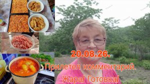 20 августа  26  ///ПРИЛЕТЕЛ КОММЕНТАРИЙ /// ЖАРА /// ГОТОВКА ///